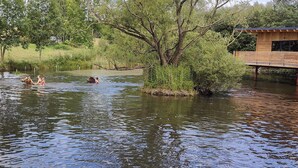 Une structure en bois au-dessus de l’eau, avec un arbre au premier plan.