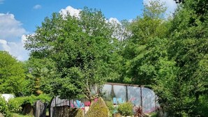 Une serre dotée d’un toit en verre, entourée d’une végétation luxuriante et d’une grande variété de plantes.