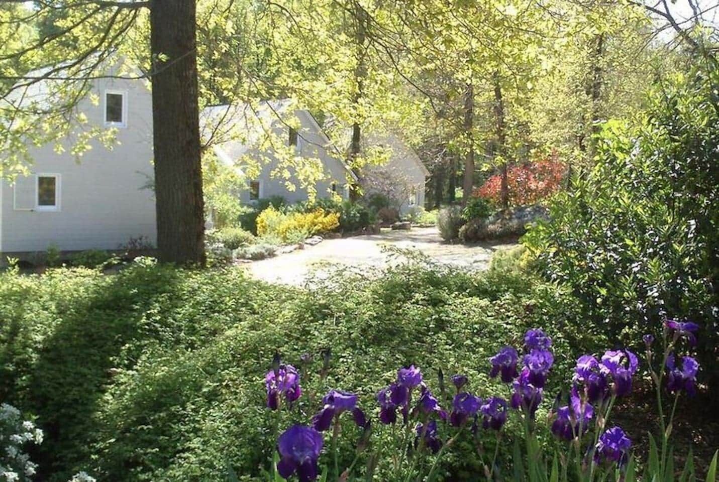 Terrein van de accommodatie