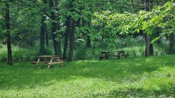 A picnic area with two wooden benches surrounded by dense greenery and trees.
