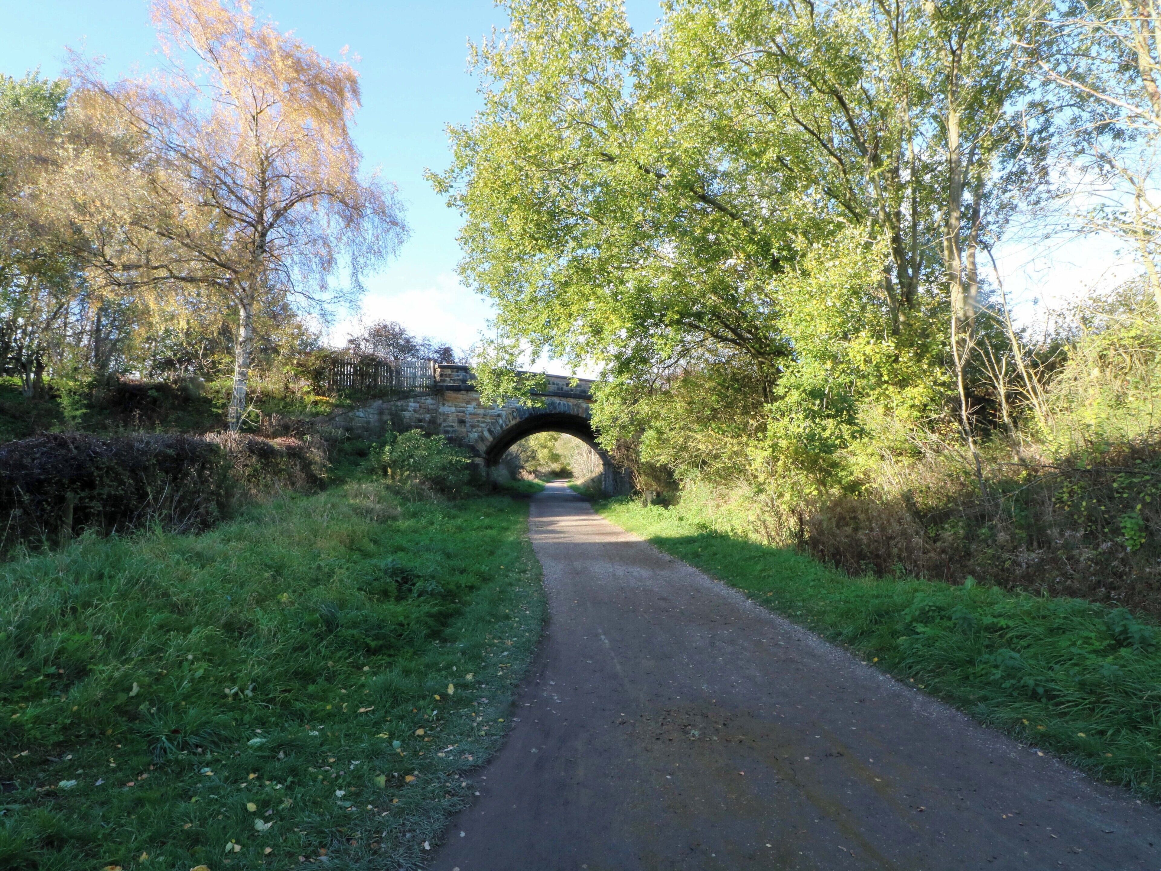 A narrow, paved path under a stone bridge surrounded by lush greenery and trees.