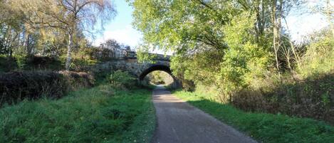 A narrow, paved path under a stone bridge surrounded by lush greenery and trees.