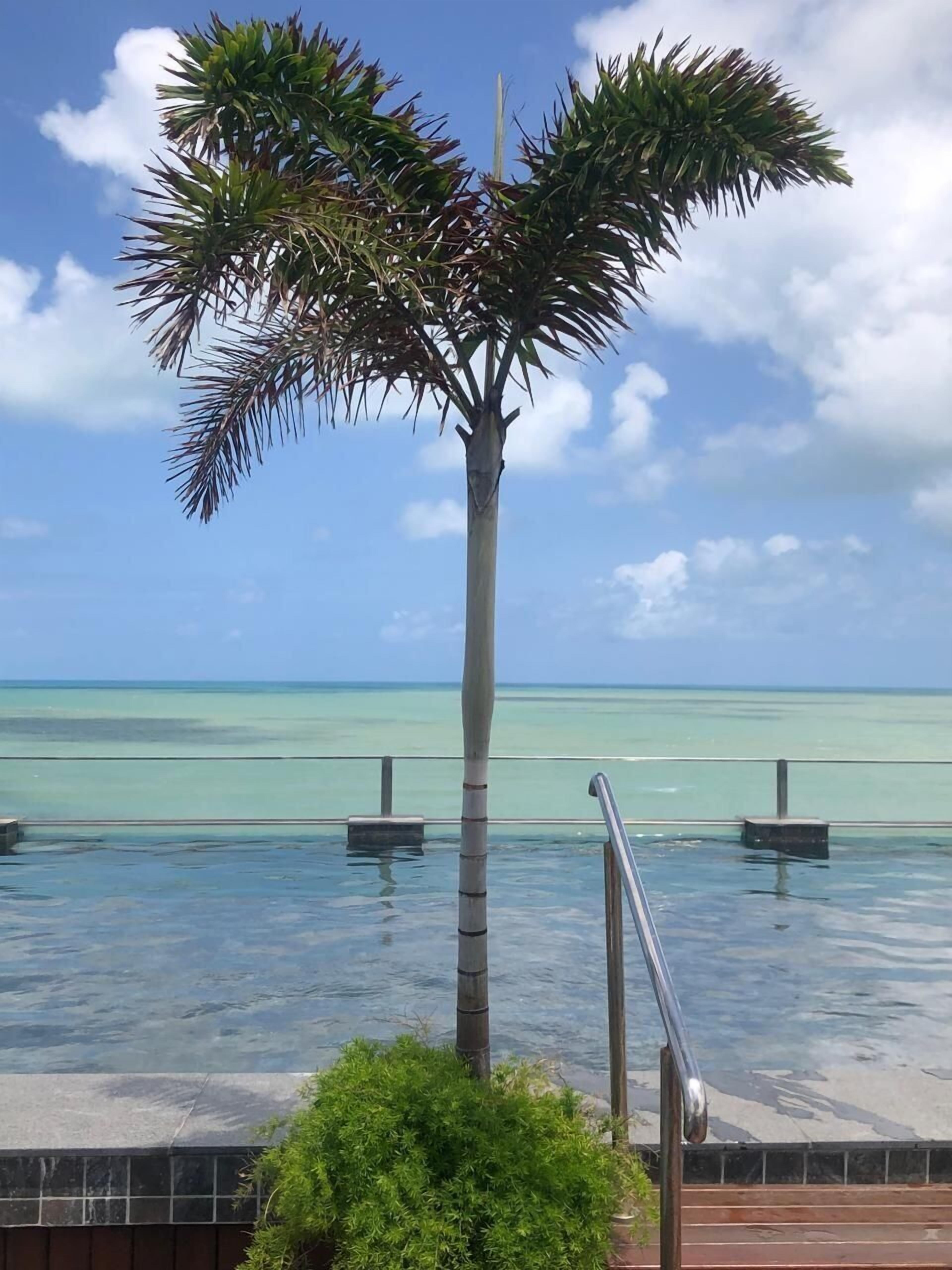 開放式客房 | 游泳池 | 室外游泳池