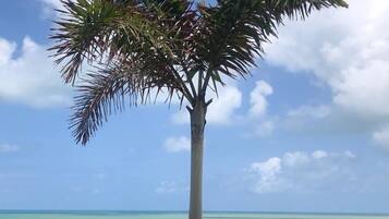 Studio | Pool | Outdoor pool