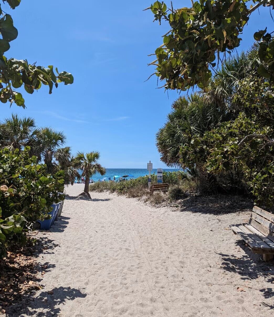 Sun loungers, beach towels