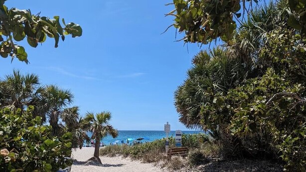 Un sentier de plage sablonneux, bordé de bancs et de palmiers, qui mène à l’océan.