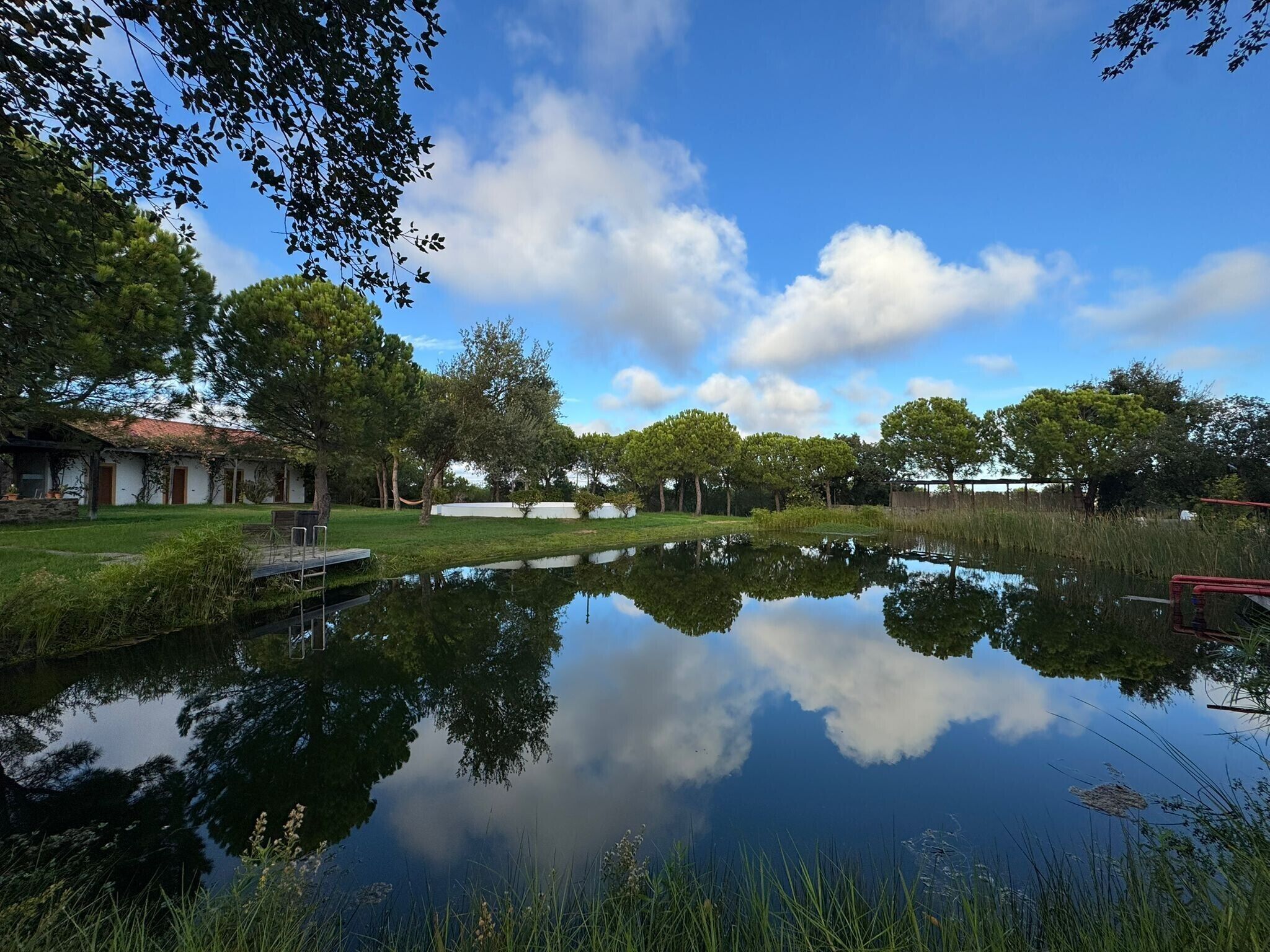 A serene outdoor setting with a pond reflecting trees and a building with a red roof.