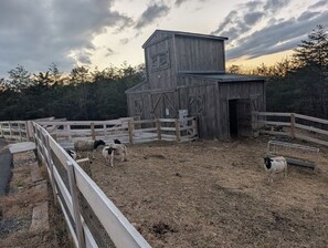 Exterior - Retreat Cabin: Gatlinburg•Pigeon Forge • Dollywood  • Sevierville (Sevierville)