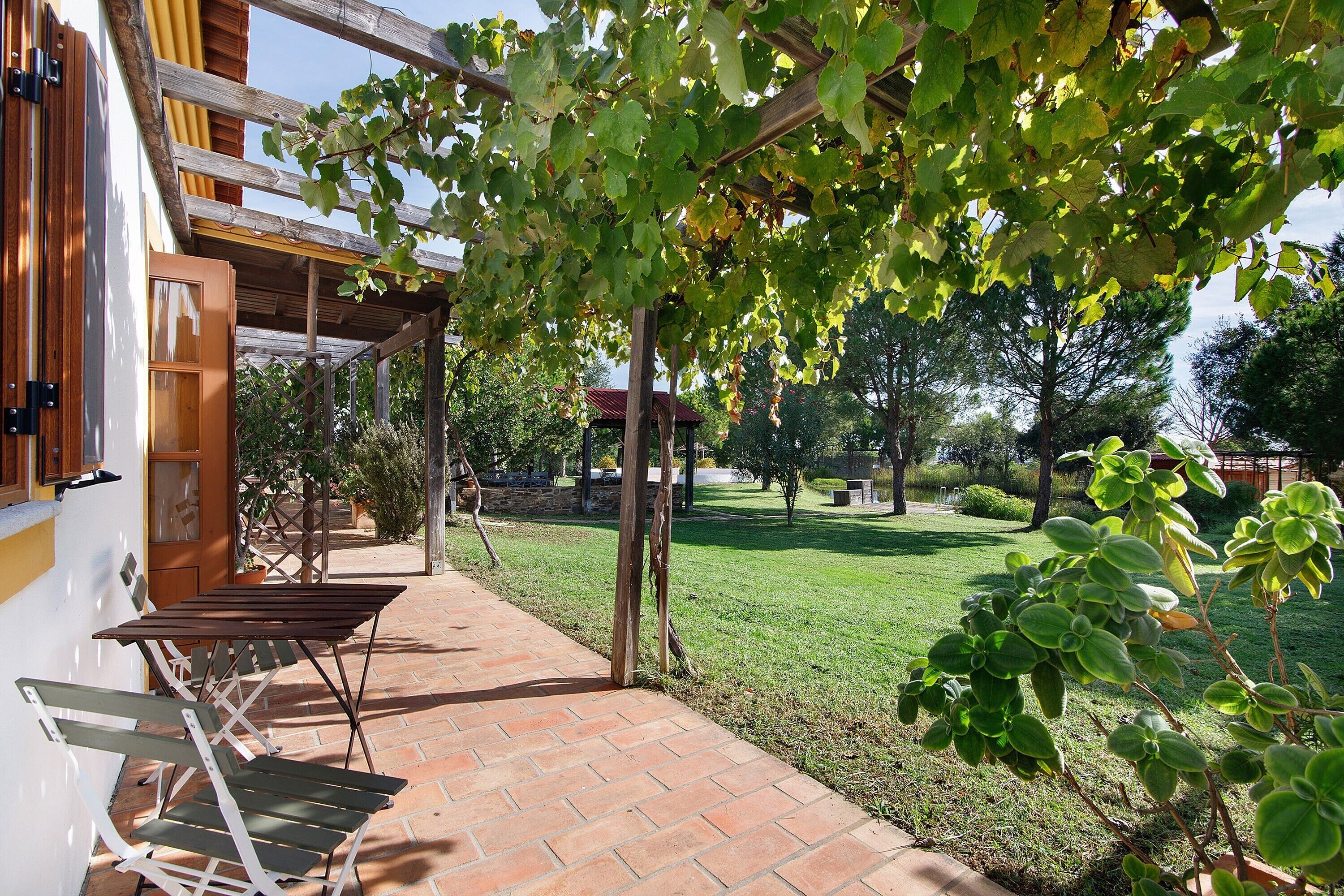 Terraza o patio