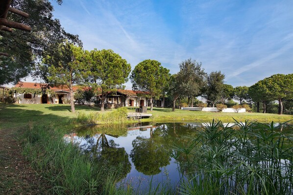 Exterior - Room 'Suíte' with Shared Pool, Wi-Fi and Air Conditioning (Castro Marim)