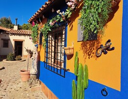 Un edificio colorido con fachada azul y naranja, una ventana con reja de metal y decoración de cactus.