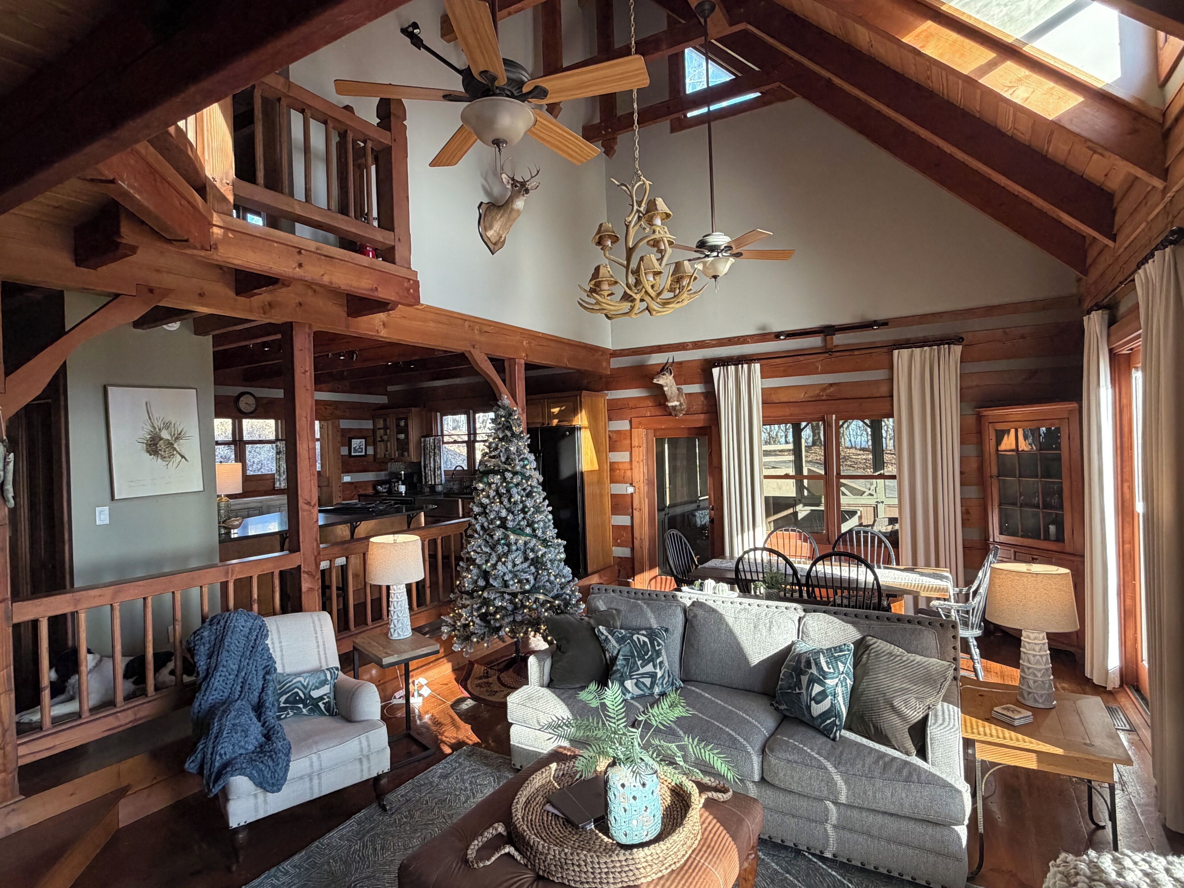 Smart TV, fireplace, video games, books