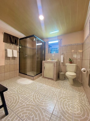 Free toiletries, towels, soap, toilet paper - Ferreto's House (La Fortuna)