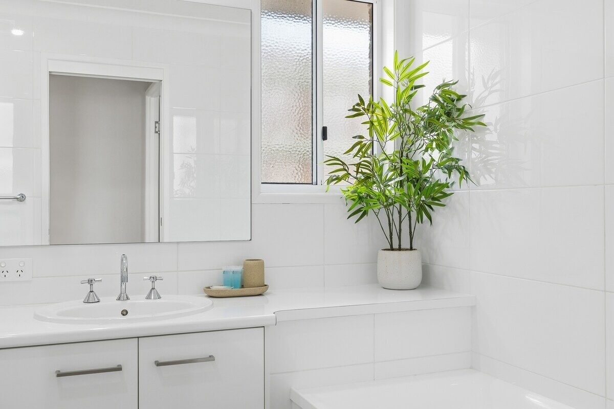 Bagno con lavandino bianco, due rubinetti, uno specchio, una finestra con vetro satinato e una pianta in vaso.