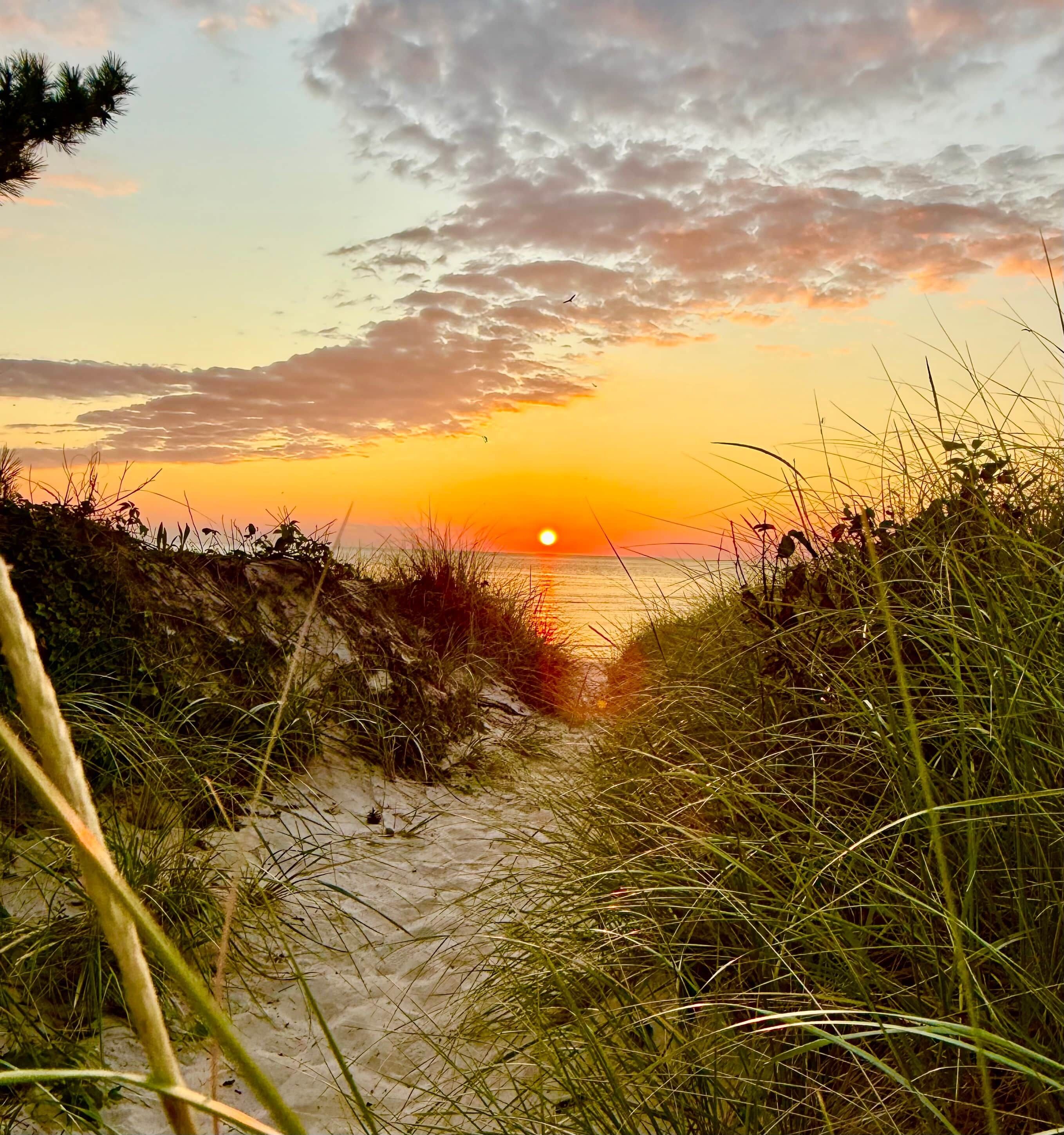 Camastros y toallas de playa 
