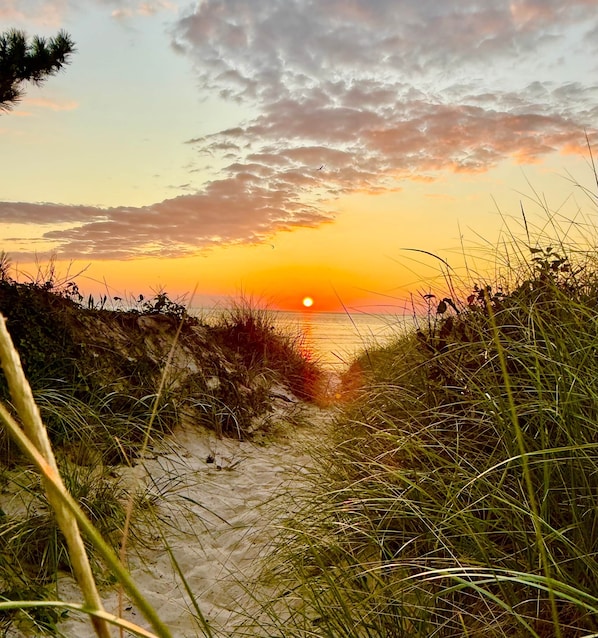 Solstolar och strandhanddukar