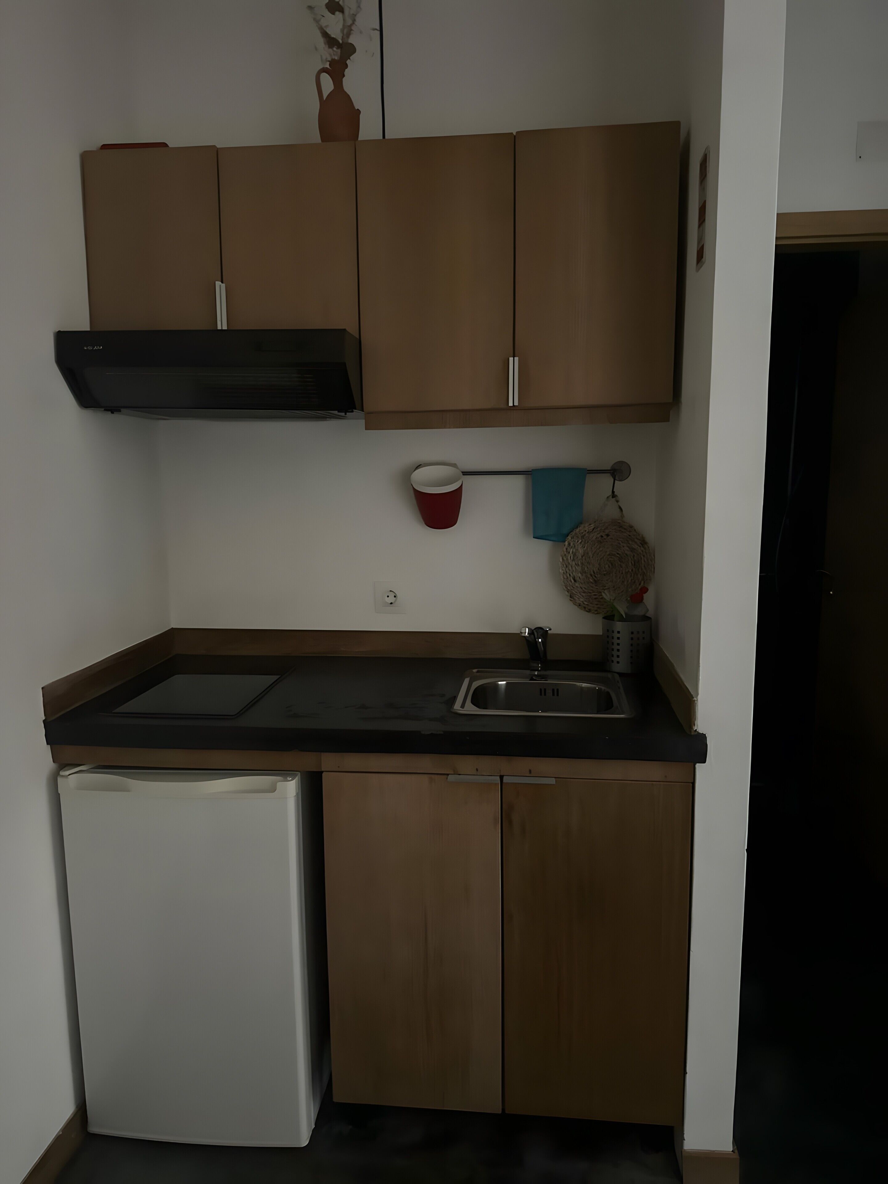 Kühlschrank, Mikrowelle, Herdplatte, Wasserkocher mit Kaffee-/Teezubehör