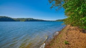 A lakeside view with a clear sky, calm water, and a dirt path along the shore. - Cottage on Cypress Bay Near Paris Landing State Park (Buchanan)