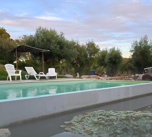 Pool - Pedras Altas Apartment with Shared Pool (Castelo de Vide)