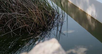 Apartamento Pedras Altas con Piscina Compartida