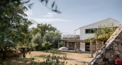 Pedras Altas Apartment with Shared Pool