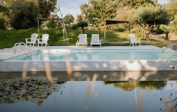 A swimming pool with white chairs and a pergola, surrounded by trees.