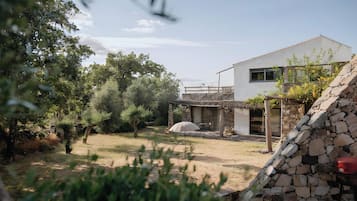 Área da propriedade