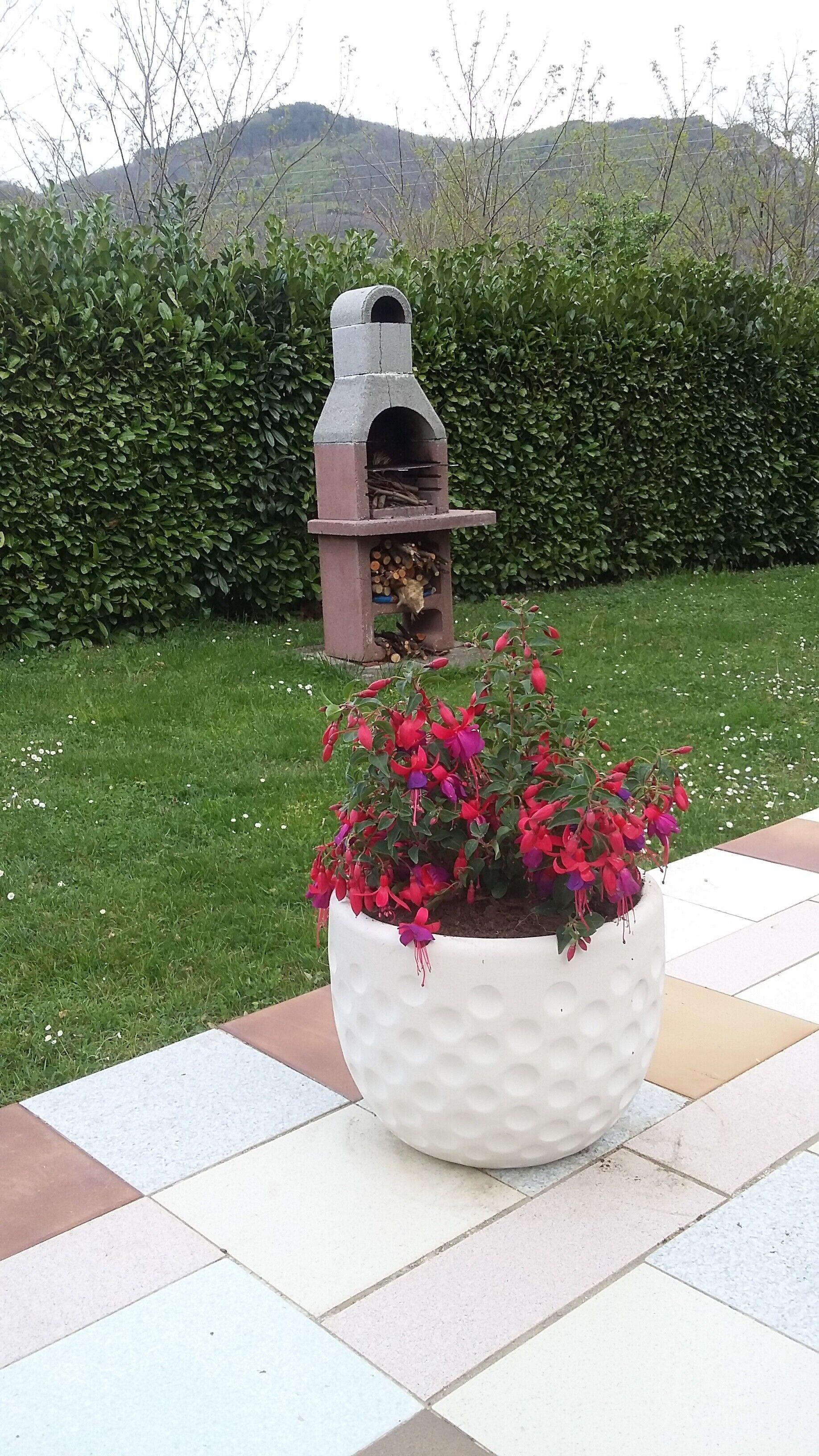 Un jardin avec un barbecue en pierre et une plante en pot ornée de fleurs rouges.