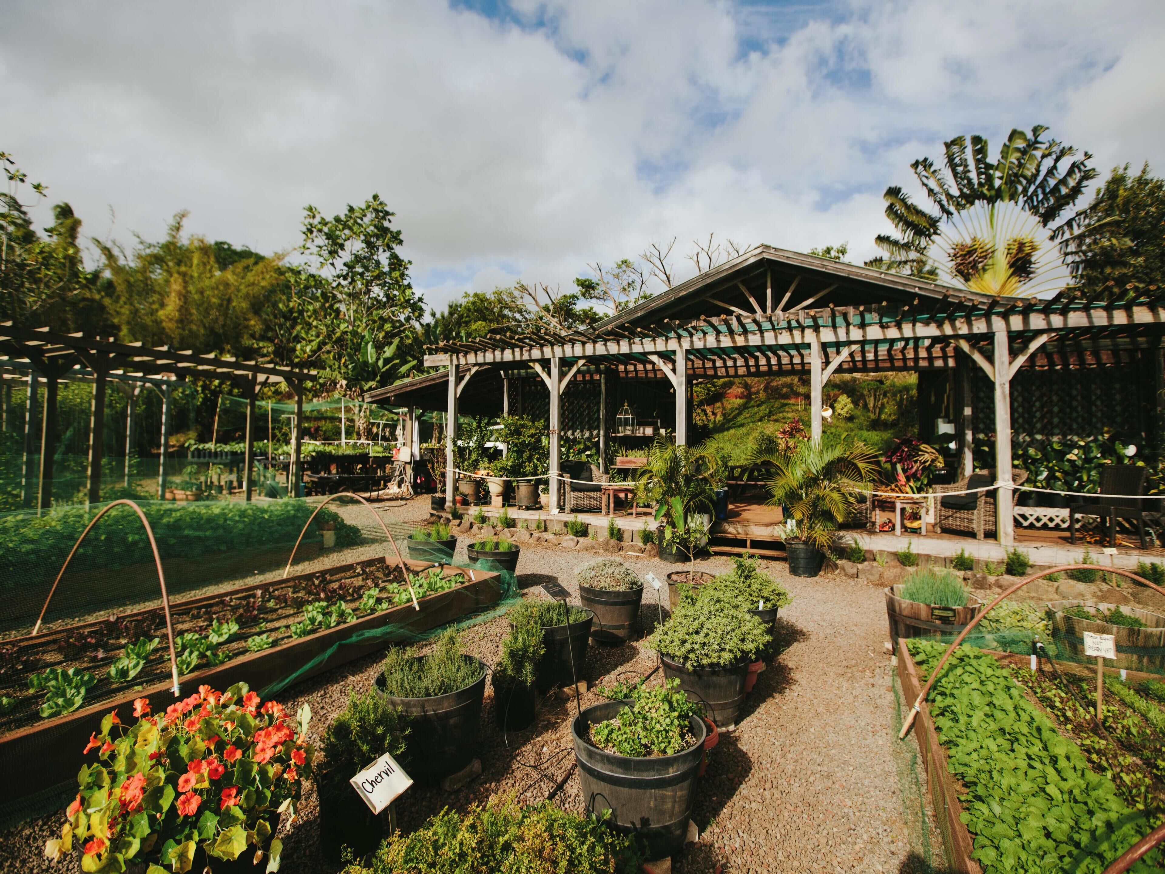 Guests have access to a private 10-acre organic farm with fresh flowers, tropical fruit, vegetables, and more. Pick what you want and take it back to your residence.