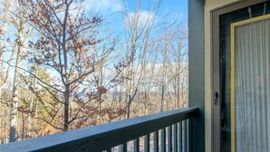 A view from a balcony with a railing, looking out at leafless trees and a clear sky. - Ski-In/Out Winterplace Okemo Mountain Condo-Bldg M (Ludlow)