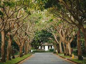 Property grounds - Lodge at Kukui'ula Villa 6 - 4 Bedroom Villa - Platinum (Koloa)