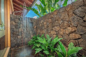 Property grounds - Ocean Views | Resort Amenities | Plunge Pool & Guesthouse (Koloa)