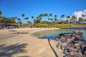 A beach with a clear sky, palm trees, and a rocky shoreline. - *CoralTree Managed* Ground Floor Ocean & Golf Views - Mauna Lani Point A107 (Kamuela)