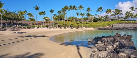 A beach with a clear sky, palm trees, and a rocky shoreline.