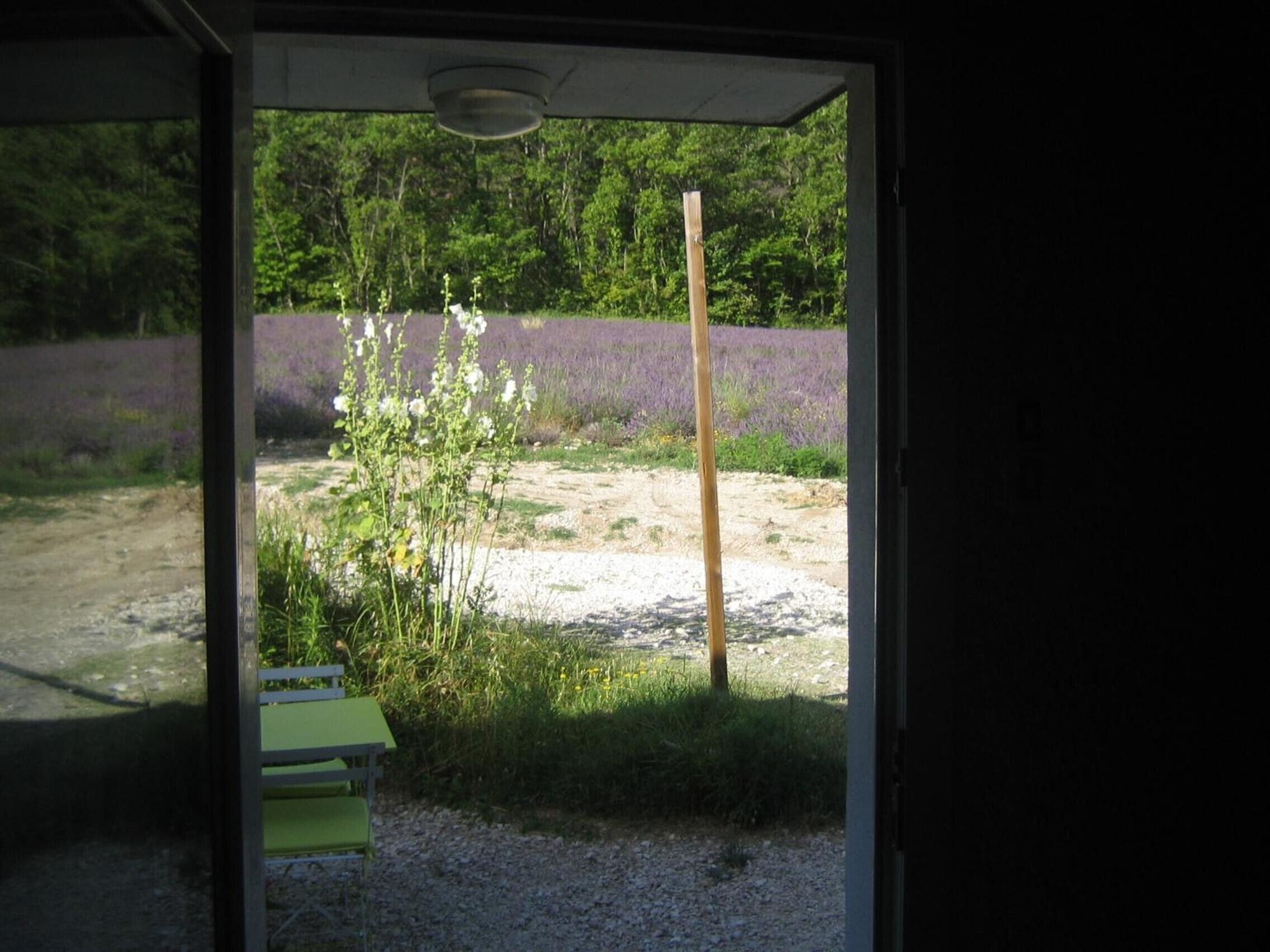 A room with a view of a garden, a bench, and a door.