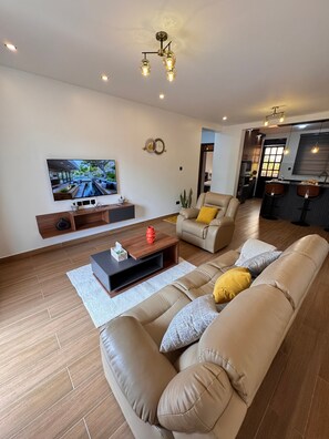 Flat-screen TV