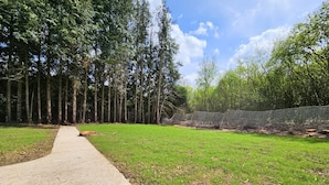 A concrete pathway leading into a grassy area with a chain-link fence and trees in the background. - Private 3-seater Jacuzzi, garden, air conditioning & parking - Dieulouard A31 (Dieulouard)