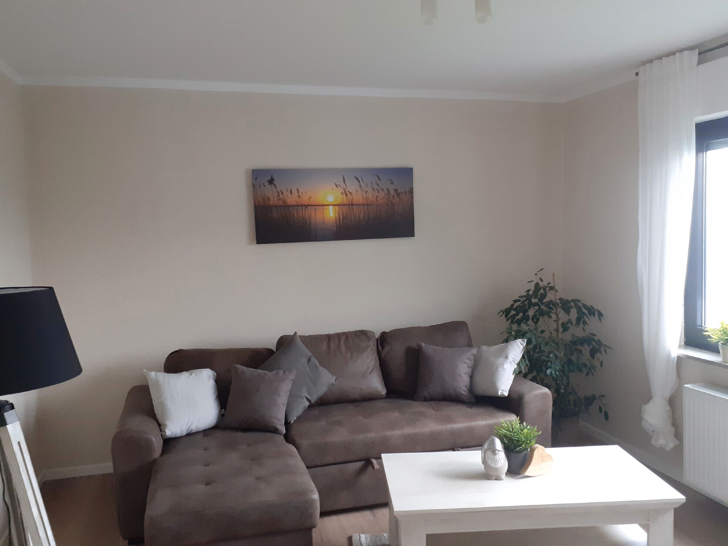 テレビ、ステレオ