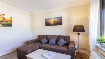 Fernseher, Stereoanlage