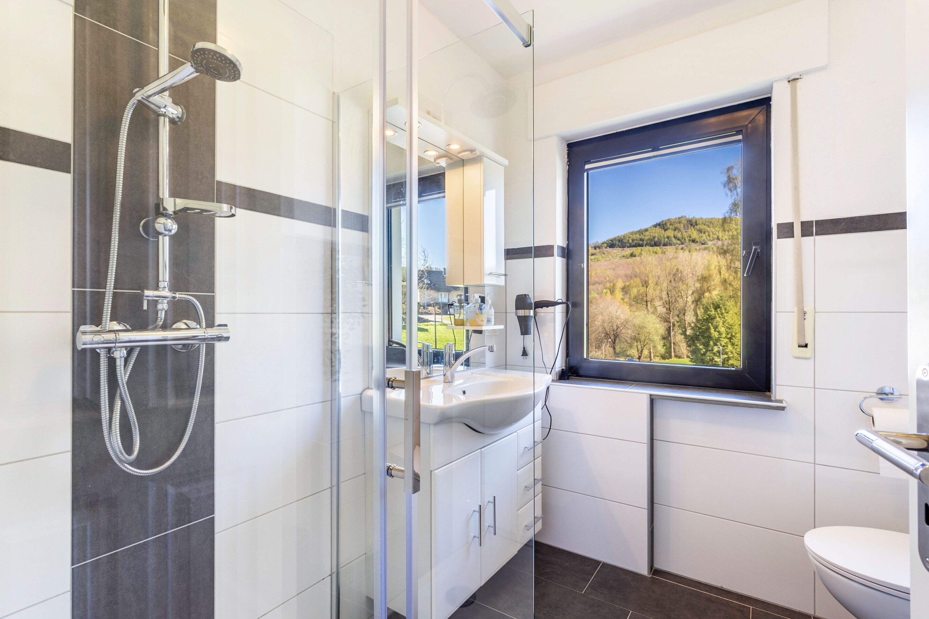 Dusche, Haartrockner, Handtücher