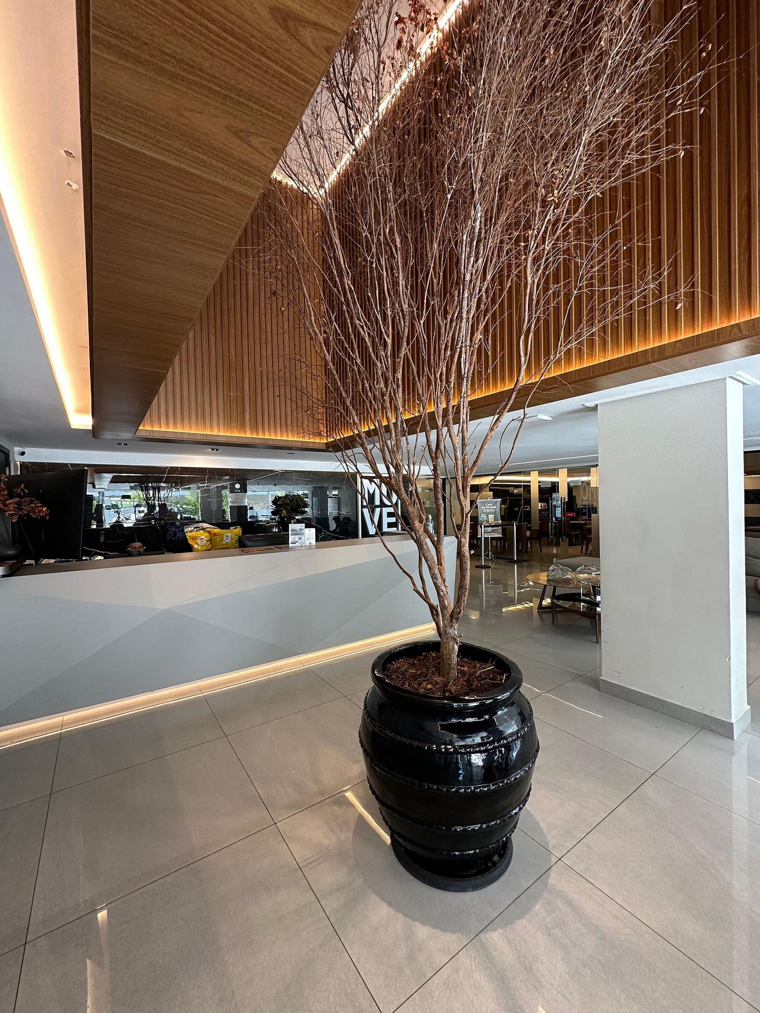 Studio | Lobby