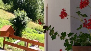 A wooden fence, a birdhouse, and a potted plant with red flowers.