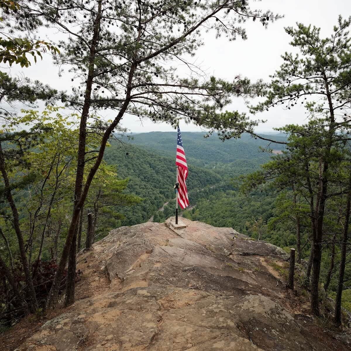 Værtens profilbillede