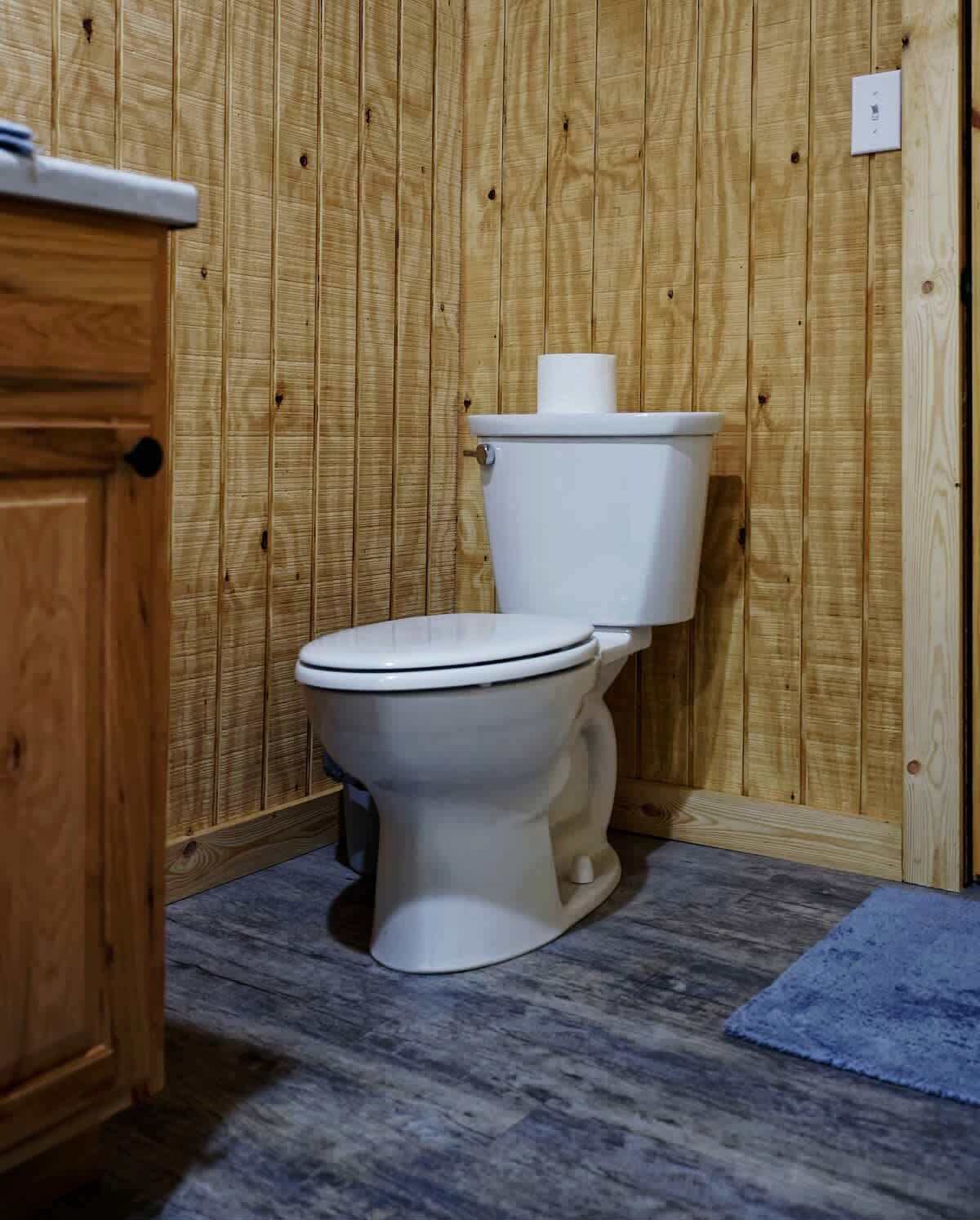 A toilet in a wooden-paneled bathroom with a wooden cabinet and a blue rug on the floor.