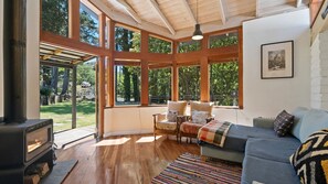 Smart TV, fireplace, books