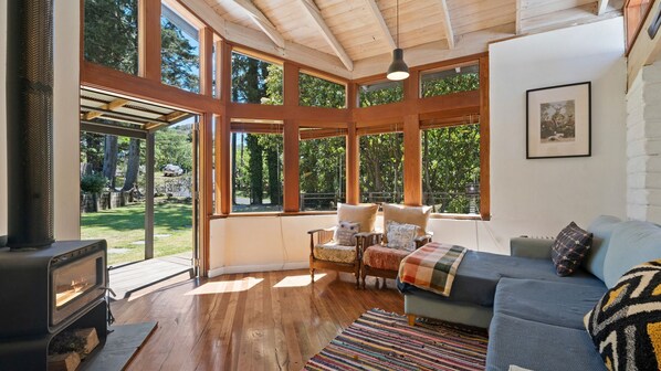 Smart TV, fireplace, books