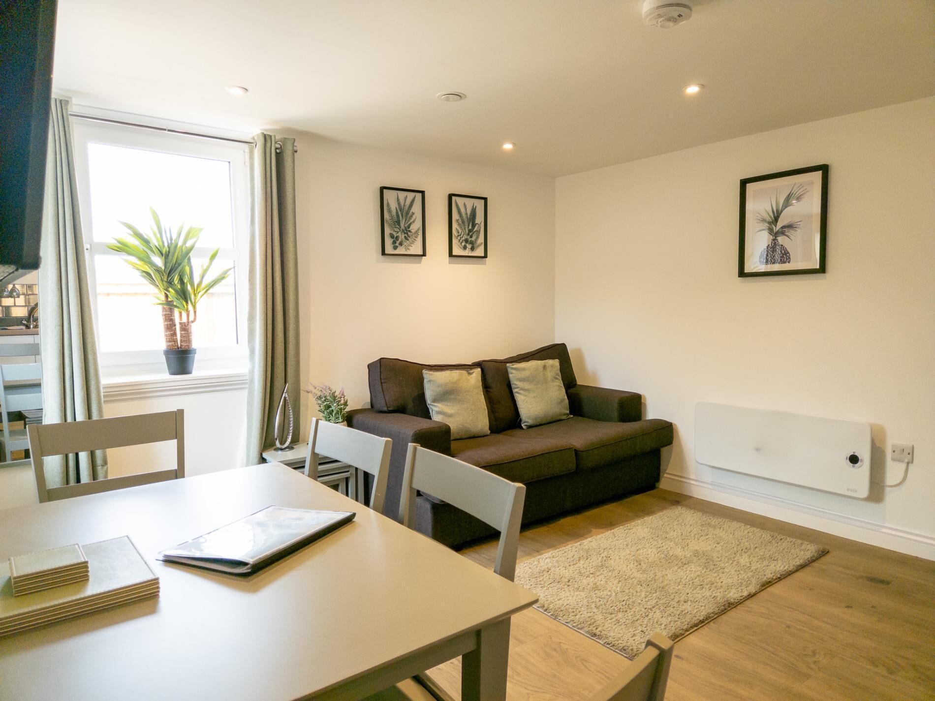 A modern living room with a sofa, a dining table with chairs, and a potted plant by the window.