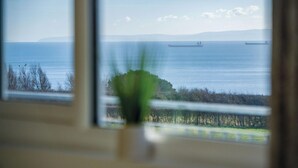 A view through a window with a plant in the foreground, a clear sky, and distant ships on the water. - The Penthouse - 1 Bedroom Apartment - Ocean Breeze (Swansea)