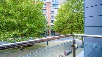 Apartment (0 Bedroom) | City view