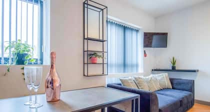 Princess Lofts 5 - 1 Bedroom Suite - Swansea